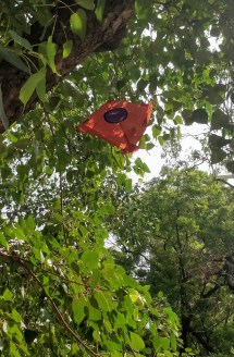 IMG_20180821_094503_2