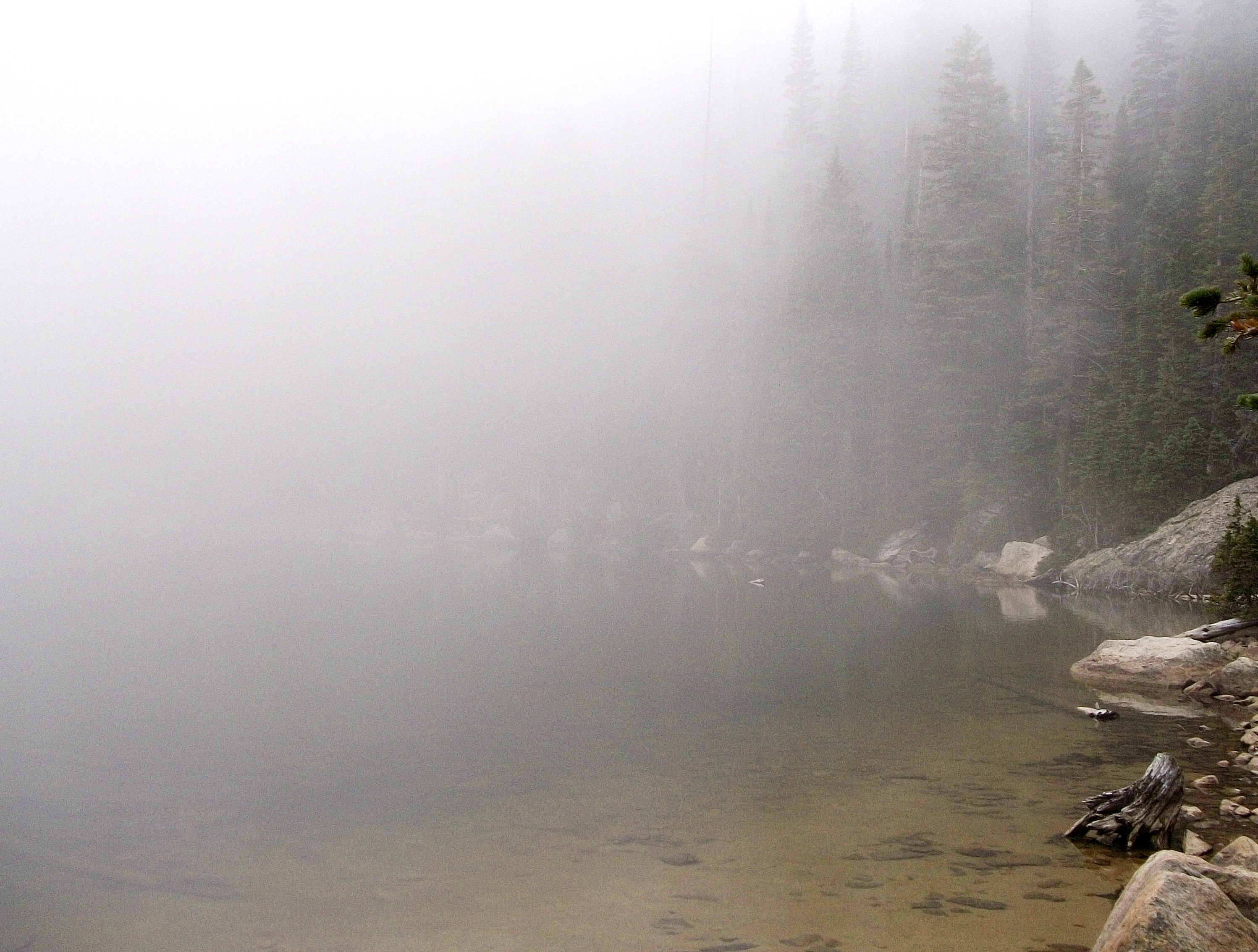 lakeside on a foggy day
