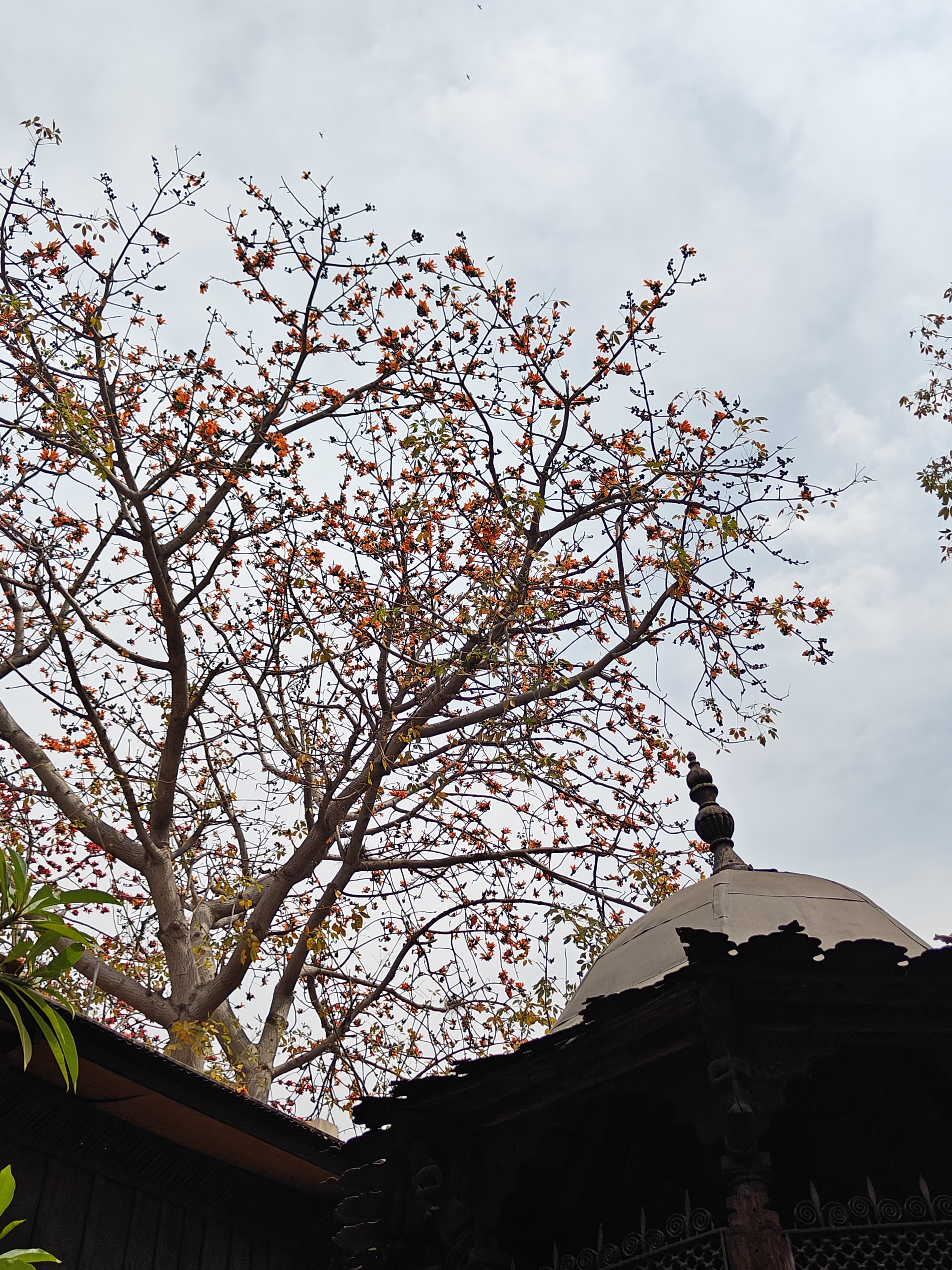Semal flowers over the dome of central piece watchtower art piece in the Crafts Museum, Delhi