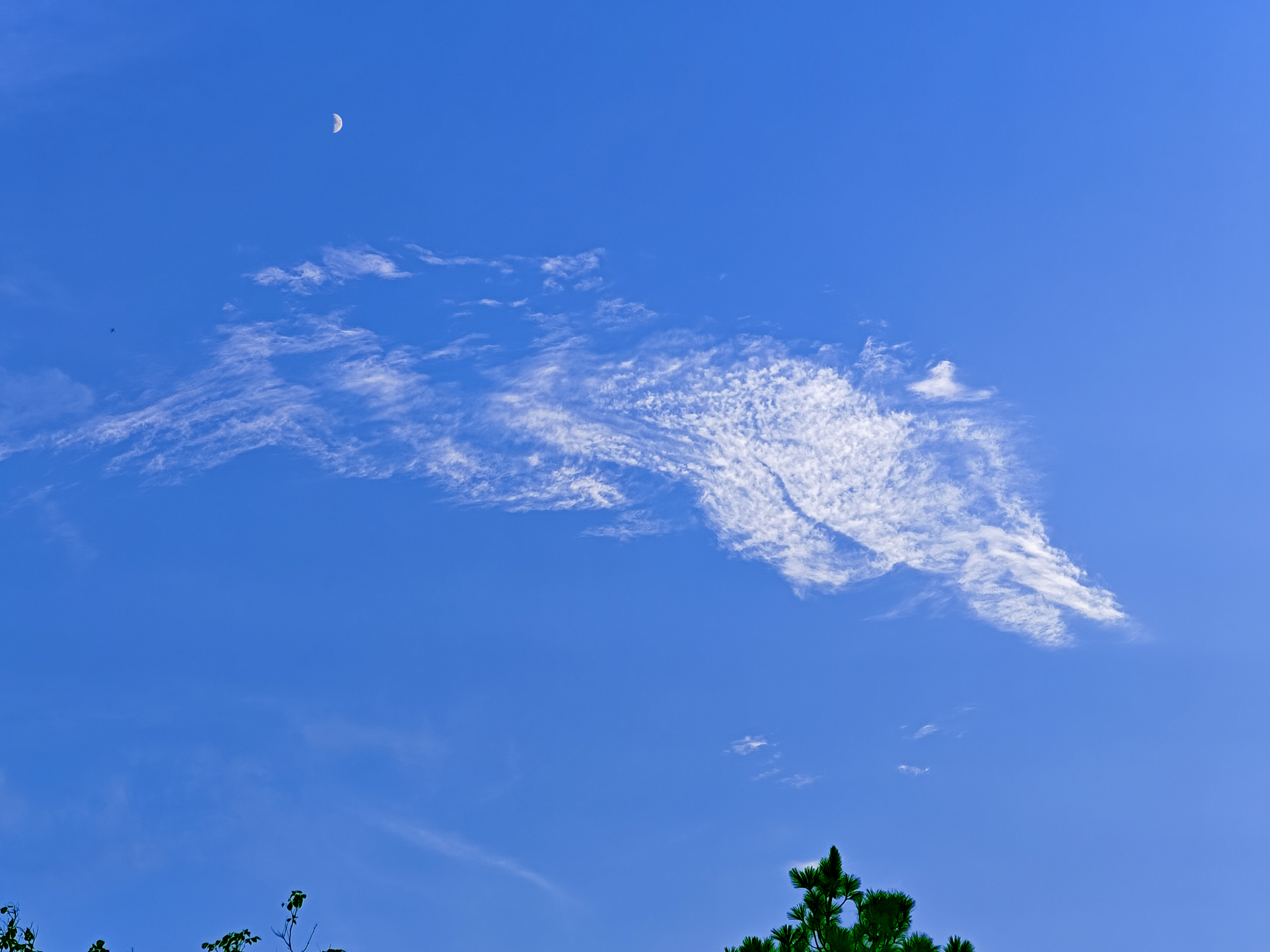 Chaand aur Magarmachh 