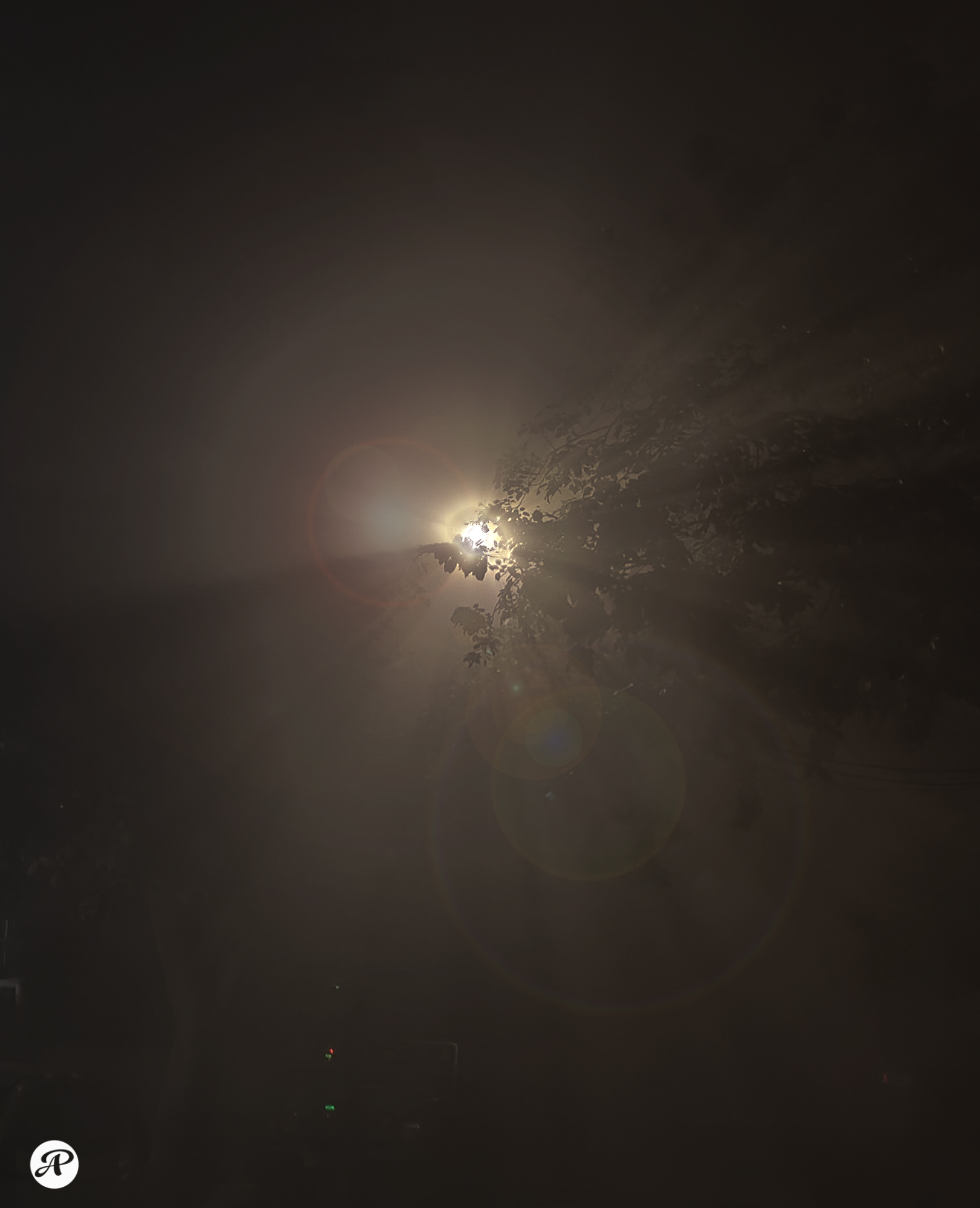 Flare on street light amid thick fog